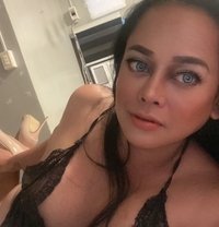 Camshow Annemistre Ss - Transsexual adult performer in Ho Chi Minh City