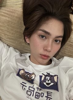 CAMSHOW/MEET - escort in Manila Photo 1 of 18