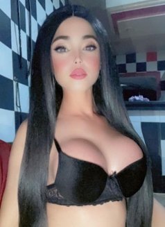 هيفاء Camshow & My Sex Videos - Transsexual escort in Kuwait Photo 23 of 26