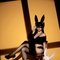 Camshow/kinkyvideos only - Transsexual escort in Doha