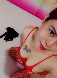 Content and camshow only TS vella - Transsexual escort in Manila Photo 2 of 9