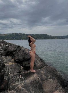 Camshow via Paypal - Transsexual escort in Kuwait Photo 13 of 13