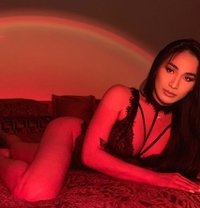 Camshow via Paypal - Transsexual escort in Kuwait