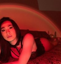 Camshow via Paypal - Transsexual escort in Kuwait