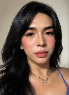 Camshow With Candy - Transsexual escort in Manila Photo 1 of 1