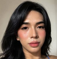 Camshow With Candy - Transsexual escort in Manila