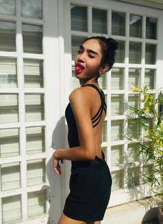 camshowchinitagirl - Transsexual escort in Edinburgh Photo 3 of 3