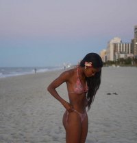 Canary - escort in Bali