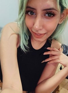 Candace From Australia 🇦🇺 - escort in Bangkok Photo 1 of 8