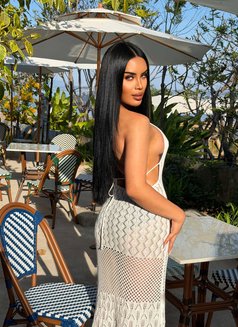 Candi professional massage,back to riyad - Transsexual escort in Riyadh Photo 1 of 9
