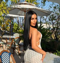 Candi professional massage,back to riyad - Transsexual escort in Riyadh