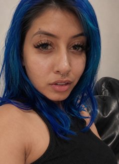 Candice From Australia 🇦🇺 - escort in Bangkok Photo 4 of 5