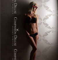 premium escort service sex blog premium escort service sex blog