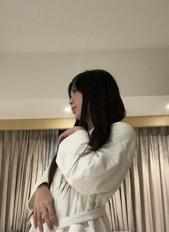 Candies Bie🫶🏻 - Transsexual escort in Manila Photo 24 of 30