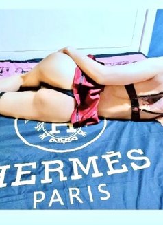 CANDII/Full Service/Anal/Petite/GFE - puta in Dubai Photo 7 of 13