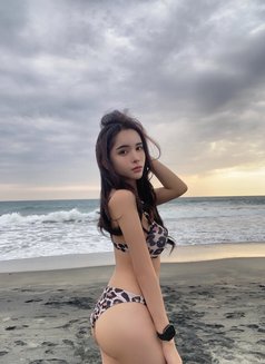 Candy - escort in Taipei Photo 6 of 10