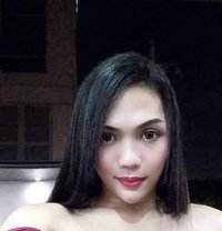 Big cock - Transsexual escort in Manila