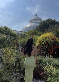 Candy - escort in Erbil Photo 1 of 3