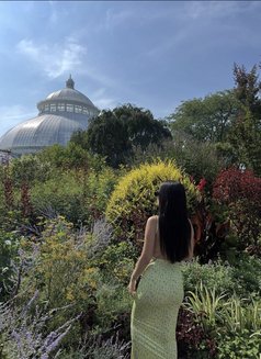 Candy - escort in Erbil Photo 3 of 3