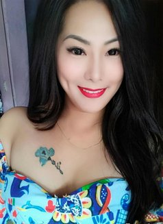 Candy Fernandez - Transsexual escort in Al Ain Photo 8 of 30