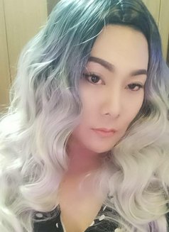 Candy Fernandez - Transsexual escort in Al Ain Photo 12 of 30