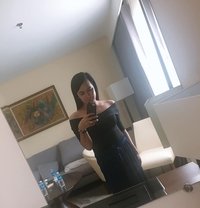 Candy - Transsexual escort in Angeles City