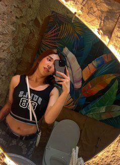 Candy - Transsexual escort in Manila Photo 1 of 1