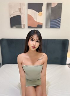 Candy Full Service 🇹🇭 - Transsexual escort in Khobar Photo 11 of 11