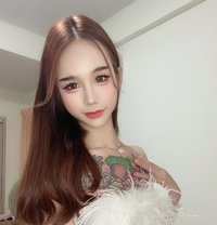 Candy in Bangkok - Transsexual escort in Bangkok