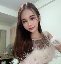Candy in Bangkok - Transsexual escort in Bangkok