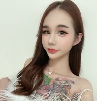 Candy in Bangkok - Transsexual escort in Bangkok