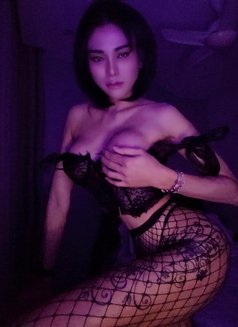 Candy Ladyboy vvip + poppers - Transsexual escort in Jeddah Photo 20 of 20