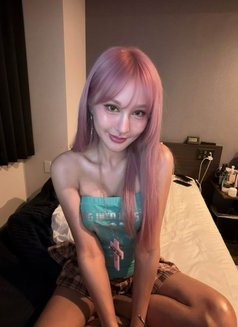 Candy Mafia - escort in Tokyo Photo 2 of 17