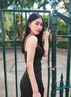 Candy New Lady​boy​ - escort in Al Sohar Photo 2 of 6