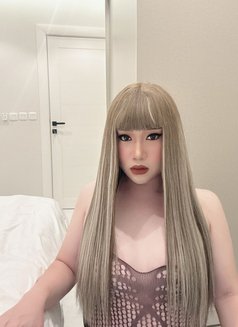 Candy new ladyboy in Riyadh 🇸🇦 - Transsexual escort in Riyadh Photo 2 of 6