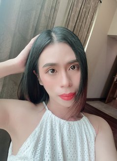 Candy New Ladyboy - Transsexual escort in Al Manama Photo 4 of 5