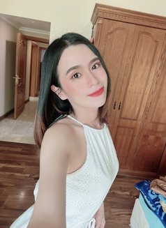 Candy New Ladyboy - Transsexual escort in Al Manama Photo 5 of 5
