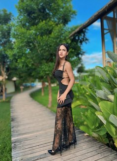 Candy Ready for you now - Transsexual escort in Khobar Photo 13 of 14