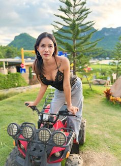 Candy Ready for you now - Transsexual escort in Khobar Photo 14 of 14