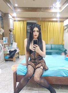 Candy SoHot - Transsexual escort in Bangkok Photo 4 of 5