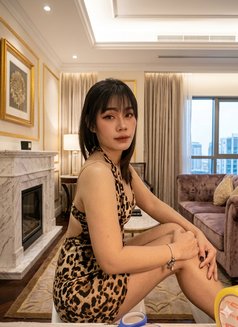 Candy - escort in Doha Photo 5 of 5