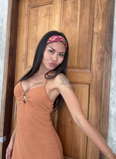 candy - escort in  Koh Phangan Photo 5 of 5