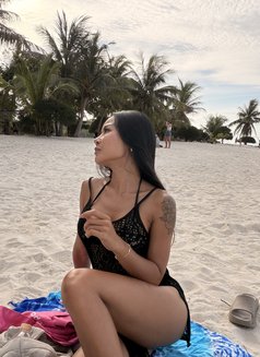 Candy - escort in Koh Phangan Photo 6 of 6
