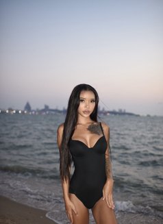 🥰…Candy…🥰 - Transsexual escort in Bangkok Photo 14 of 15