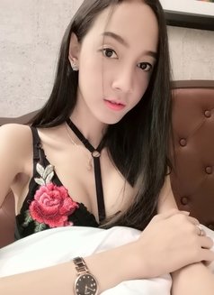 Candy - Transsexual escort agency in Seoul Photo 1 of 14