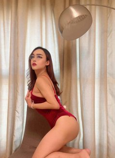 Candy Top BIG Dick - Transsexual escort in Al Manama Photo 4 of 6