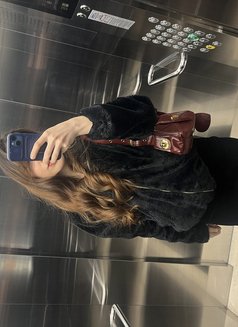 Candy - escort in Dubai Photo 1 of 1