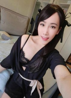 Lin, in Town With 100% GFE - escort in Tokyo Photo 10 of 16