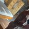 Cangk - Male escort in İstanbul