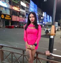 Cany - Transsexual escort in Ludhiana
